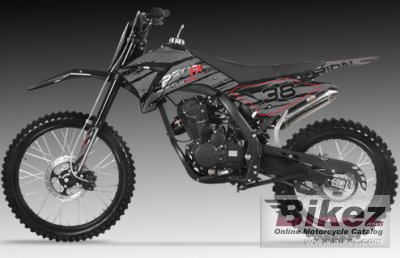2009 Orion AGB-38 photo